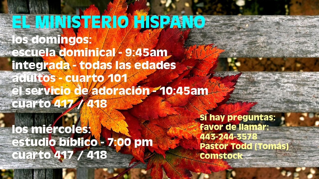 Spanish Ministry Schedule