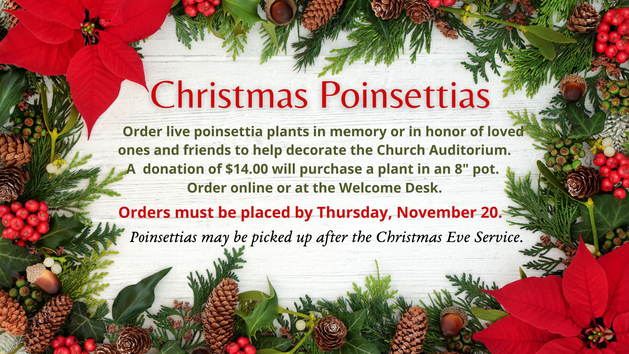 Poinsettias2025Slide.jpg